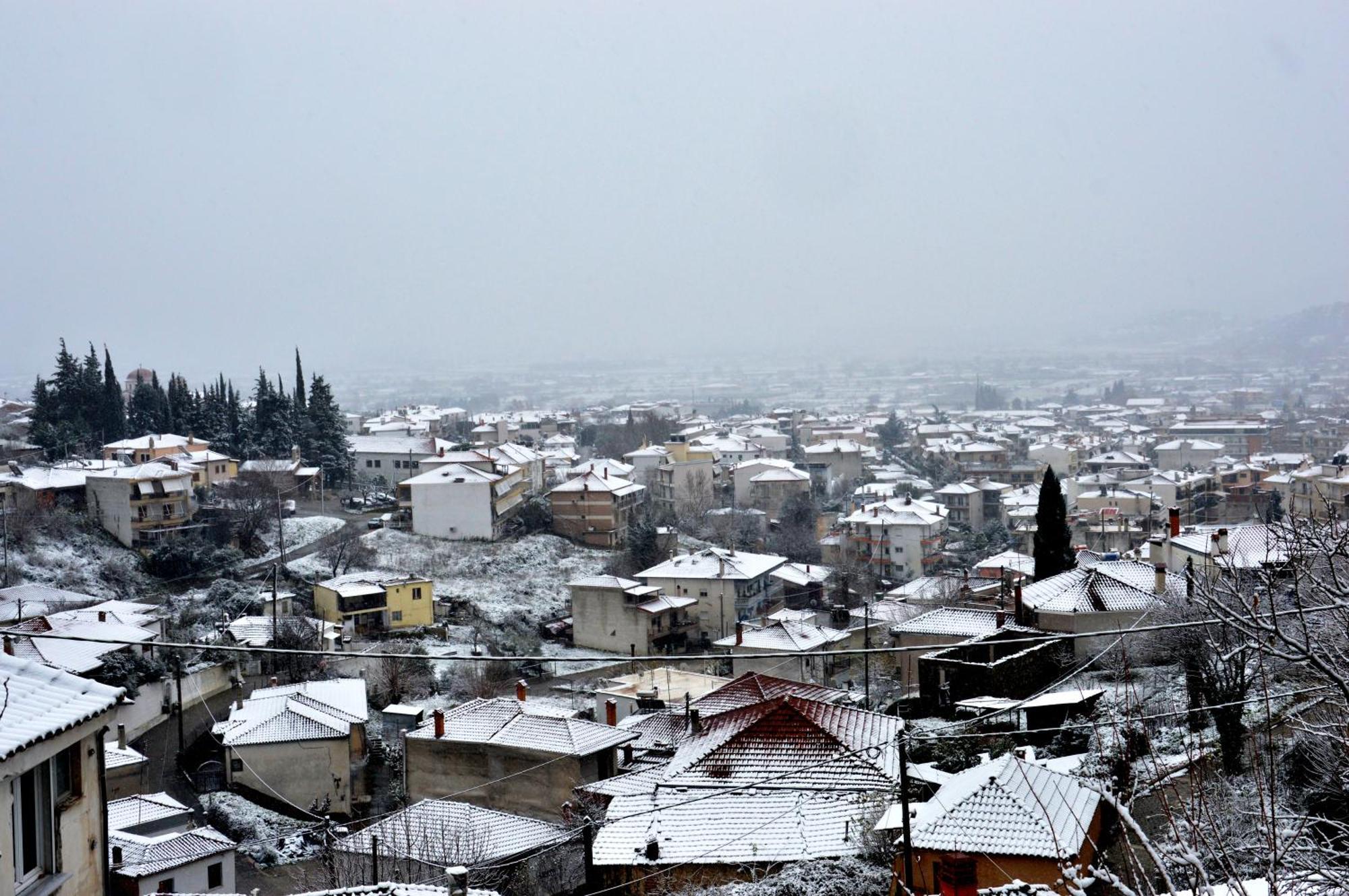 Meteora Old Town#1 Daire Kalampáka Dış mekan fotoğraf